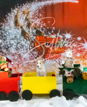 2024-11-2-3-XMAS-500