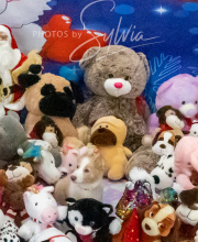 2024-11-2-3-XMAS-521