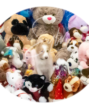 2024-11-2-3-XMAS-531