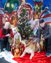 2024-11-2-3-XMAS-570