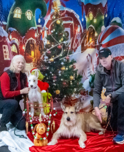 2024-11-2-3-XMAS-575