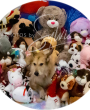 2024-11-2-3-XMAS-595