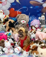 2024-11-2-3-XMAS-607