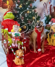 2024-11-2-3-XMAS-618