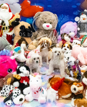 2024-11-2-3-XMAS-677