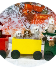 2024-11-2-3-XMAS-681