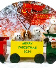 2024-11-2-3-XMAS-681_InPixio