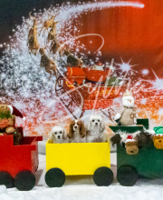 2024-11-2-3-XMAS-682