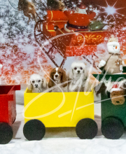 2024-11-2-3-XMAS-683