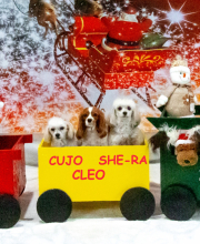 2024-11-2-3-XMAS-683_InPixio