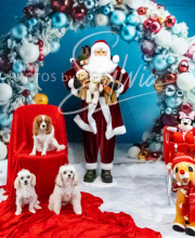 2024-11-2-3-XMAS-685