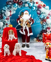 2024-11-2-3-XMAS-686