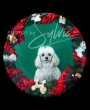 2024-11-2-3-XMAS-689