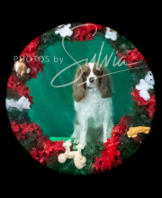 2024-11-2-3-XMAS-693