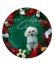 2024-11-2-3-XMAS-696