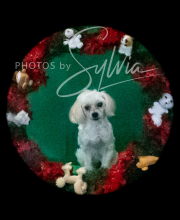 2024-11-2-3-XMAS-697