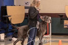 2024-AADTC-Scent-Trial-3-16-3-17-1005