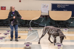 2024-AADTC-Scent-Trial-3-16-3-17-1009