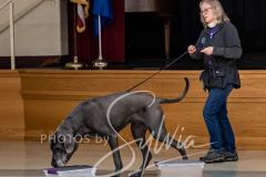 2024-AADTC-Scent-Trial-3-16-3-17-1016