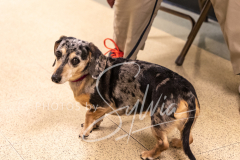 2024-AADTC-Scent-Trial-3-16-3-17-1035