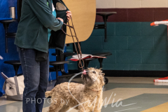 2024-AADTC-Scent-Trial-3-16-3-17-1037