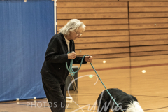 2024-AADTC-Scent-Trial-3-16-3-17-104