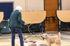 2024-AADTC-Scent-Trial-3-16-3-17-1043