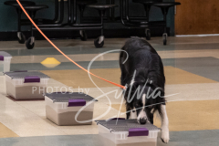 2024-AADTC-Scent-Trial-3-16-3-17-1066