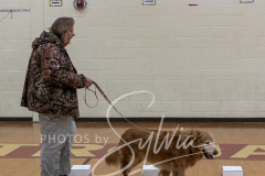 2024-AADTC-Scent-Trial-3-16-3-17-1111