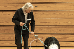 2024-AADTC-Scent-Trial-3-16-3-17-112