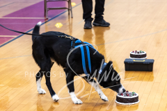 2024-AADTC-Scent-Trial-3-16-3-17-1159