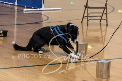 2024-AADTC-Scent-Trial-3-16-3-17-1161