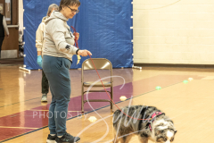 2024-AADTC-Scent-Trial-3-16-3-17-1202