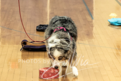 2024-AADTC-Scent-Trial-3-16-3-17-1212