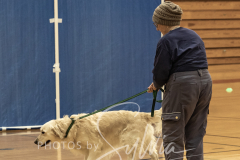 2024-AADTC-Scent-Trial-3-16-3-17-122