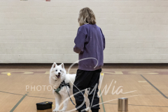 2024-AADTC-Scent-Trial-3-16-3-17-1228