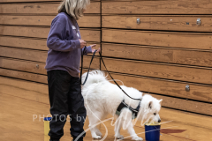 2024-AADTC-Scent-Trial-3-16-3-17-1234