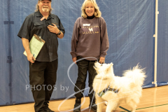 2024-AADTC-Scent-Trial-3-16-3-17-1240