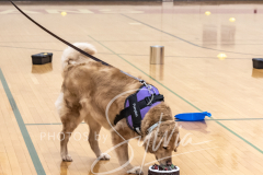 2024-AADTC-Scent-Trial-3-16-3-17-1256