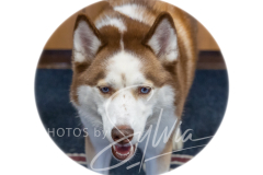 2024-AADTC-Scent-Trial-3-16-3-17-1288