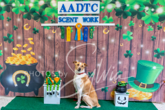2024-AADTC-Scent-Trial-3-16-3-17-1303