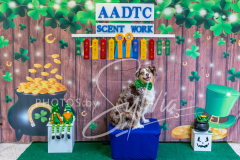 2024-AADTC-Scent-Trial-3-16-3-17-1309