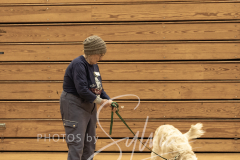 2024-AADTC-Scent-Trial-3-16-3-17-132