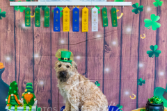 2024-AADTC-Scent-Trial-3-16-3-17-1352