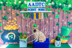 2024-AADTC-Scent-Trial-3-16-3-17-1353