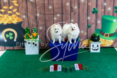 2024-AADTC-Scent-Trial-3-16-3-17-1359