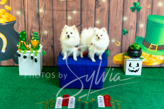 2024-AADTC-Scent-Trial-3-16-3-17-1365