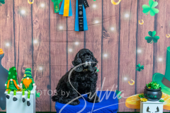 2024-AADTC-Scent-Trial-3-16-3-17-1373