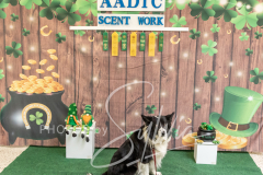 2024-AADTC-Scent-Trial-3-16-3-17-1392