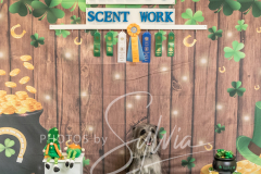 2024-AADTC-Scent-Trial-3-16-3-17-1401